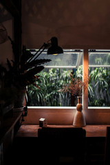 A small plant pot displayed in the window vintage color with orange light
