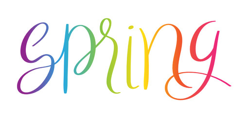 SPRING brush calligraphy banner