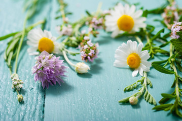 Obraz premium herbal flowers on blue wooden table background