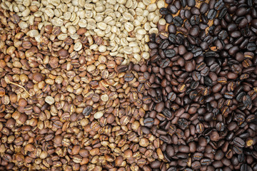 Raw and roasted three colour coffee bean in basket.
