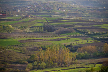 Rural landscape with fields in a valley