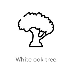 outline white oak tree vector icon. isolated black simple line element illustration from nature concept. editable vector stroke white oak tree icon on white background