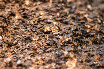 Close up view of surface of the soil wall with roughness.