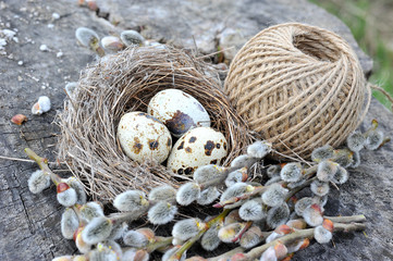 Bunch of willow, quail eggs and a ball of yarn on wooden background. Easter Holidays background.