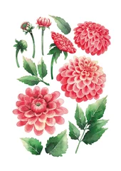 Fotobehang Dahlia Aquarelboeket van dahlia& 39 s bloemen en bladeren
