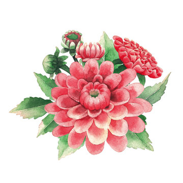 recommend clip art: Watercolor bouquet of dahlias flowers and leaves