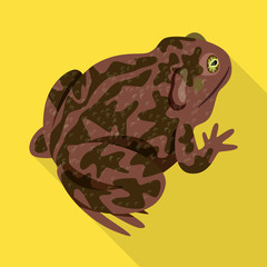 Isolated object of toad and biology symbol. Collection of toad and tropical stock symbol for web.