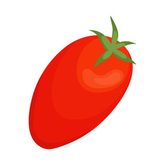 Vector illustration of tomato and red sign. Collection of tomato and eating stock vector illustration.
