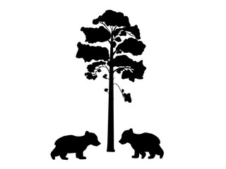 Two cub bears near tree silhouette animal. Vector Illustrator.   © KozyrevaElena