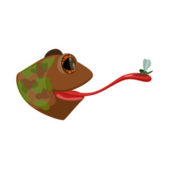 Isolated object of toad and head symbol. Collection of toad and stickyl stock symbol for web.