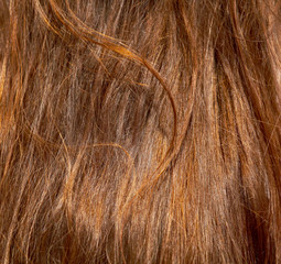 Red hair on the head of the girl as an abstract background