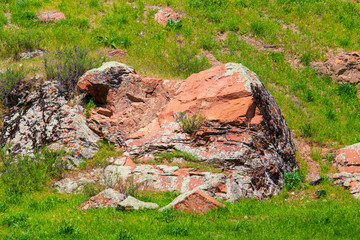 Stone rock in the mountains in spring