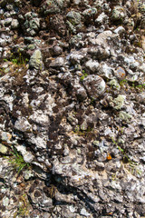 Stone rock in the mountains as a background