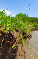 Shore in a mountain river in spring