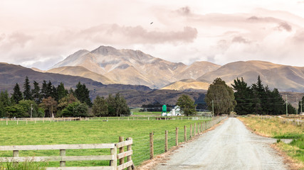 Fototapeta na wymiar Agriculture in New Zealand south island