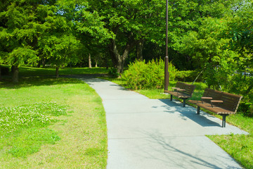 Obraz premium park path