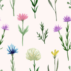 Obraz premium Seamless pattern watercolor wildflowers isolated on white background. Hand drawn painted flowers illustration. Summer disign
