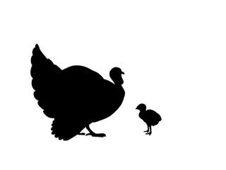 Turkey bird black silhouette animal. Vector Illustrator.