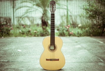 guitar on green background