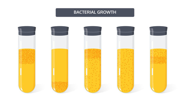Bacterium growth vector concept in flat style.