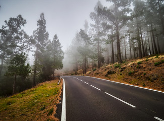 Winding road im mist on north of Tenerife. Canary Islands, Spain