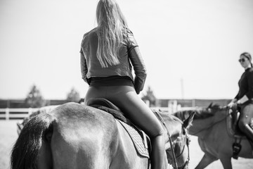 Horse riding and equestrian training