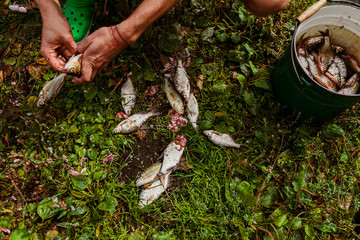 cooking fish before grilling