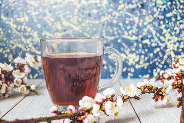 a cup of black tea and flowered apricot branches