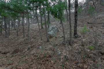 Obraz premium Large, Textured Rock on the Side of the hills to Crooked Creek Falls