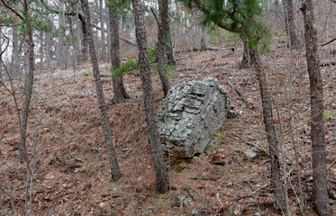 Large, Textured Rock on the Side of the hills to Crooked Creek Falls