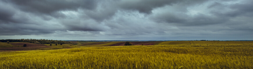 Fields landscape in summer sunset and sunrise