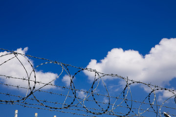 Barbed wire fence