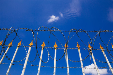 Barbed wire fence