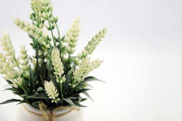 flowers in a vase isolated on white