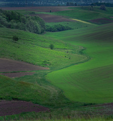 Fields landscape in summer sunset and sunrise