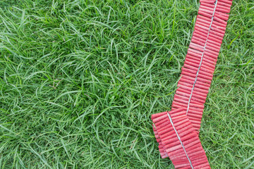 Red Firecrackers on green lawn