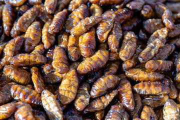 Fried silk worms delicious in street food in Thailand. Close up