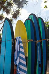 Stack of different surfboard for a rental on the beach