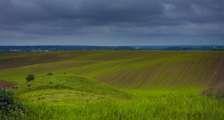 Fields landscape in summer sunset and sunrise