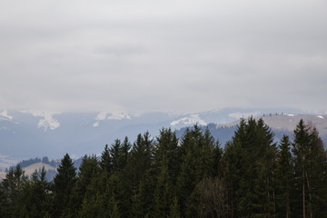 Misty landscape in the mountain area