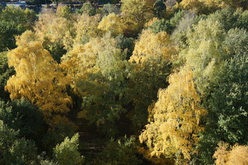 gartenstadt hannover im herbst