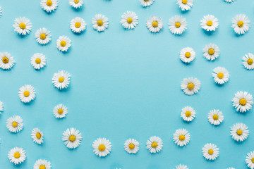 Flowers composition. Frame of chamomile flowers on pastel blue background. Spring, summer concept. Flat lay, top view, copy space