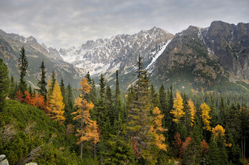 mengusovska dolina © Andrej Macko