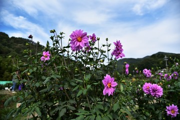 秋、青空