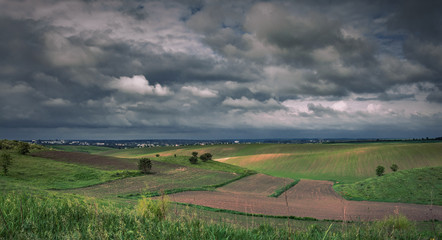 Fields landscape in summer sunset and sunrise