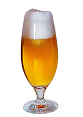 Glass of beer isolated on the white background