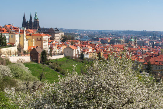 Prague - view on the city with Prague Castle