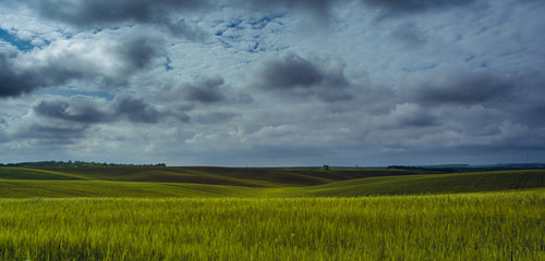 Fields landscape in summer sunset and sunrise