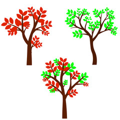  icon. Beautiful autumn trees with leaves and without. Vector illustration isolated on white background.
