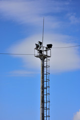 Obraz premium spotlight mast with lightning conductor